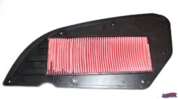 Filter vazduha DT 125 cc SC300